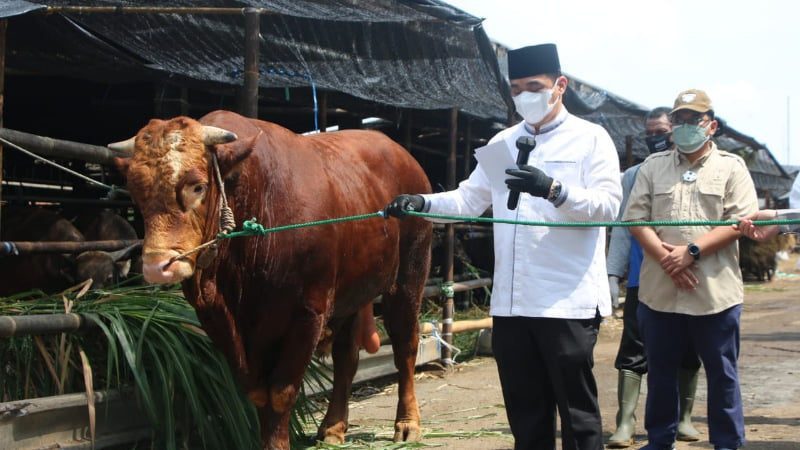 Headline Jakarta | Wagub Ariza Patria Serahkan Hewan Kurban Sapi Limosin