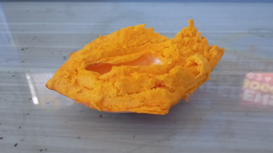 Ragam | Sederet Manfaat Buah Jigong yang Sering Diejek dan Hampir Punah