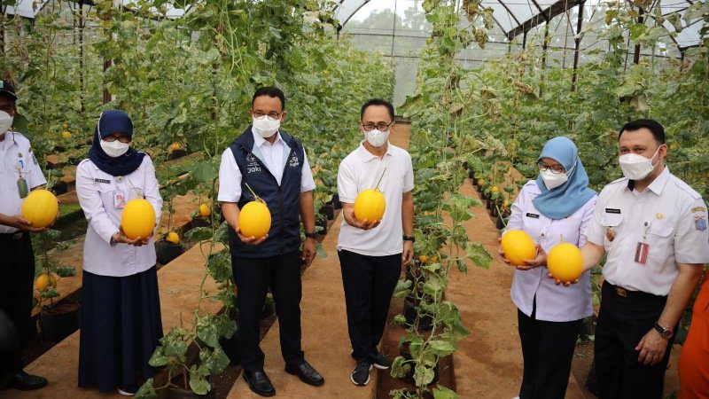 Headline Jakarta | Anies Apresiasi Kelompok Tani Binaan DKPKP Provinsi DKI Jakarta