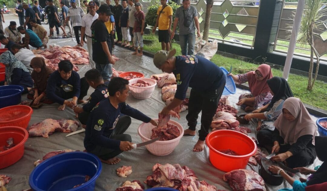 Sambut Anies Baswedan, Ketua DPW NasDem Kalsel Sembelih 15 Ekor Sapi