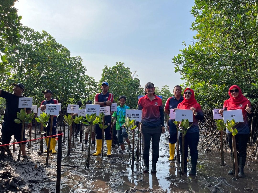 Bakamla Tanam 39.000 Bibit Mangrove di Batam untuk Cegah Abrasi