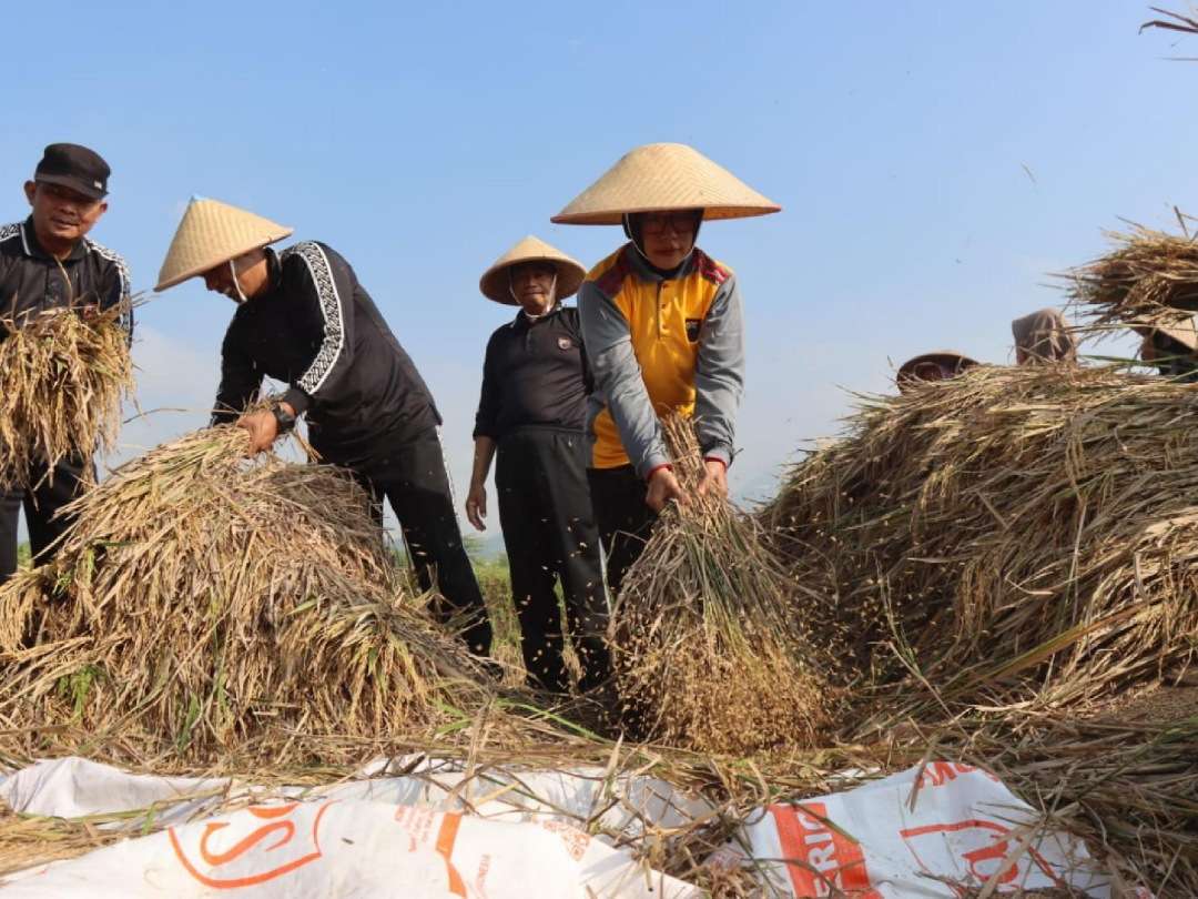 Wajibkan Penggilingan Beli Gabah Rp6.500, Polri Kawal Ketat