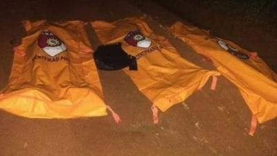 Tiga Polisi Gugur Saat Gerebek Judi Sabung Ayam di Way Kanan, TNI Selidiki Keterlibatan Oknum