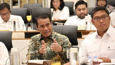 Mentan Amran Pastikan Stok Aman dan Percepat Penyaluran