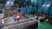 156 Petinju Amatir Bertarung di Gladiator Bogor Arena Vol II, Usung Semangat Stop Tawuran